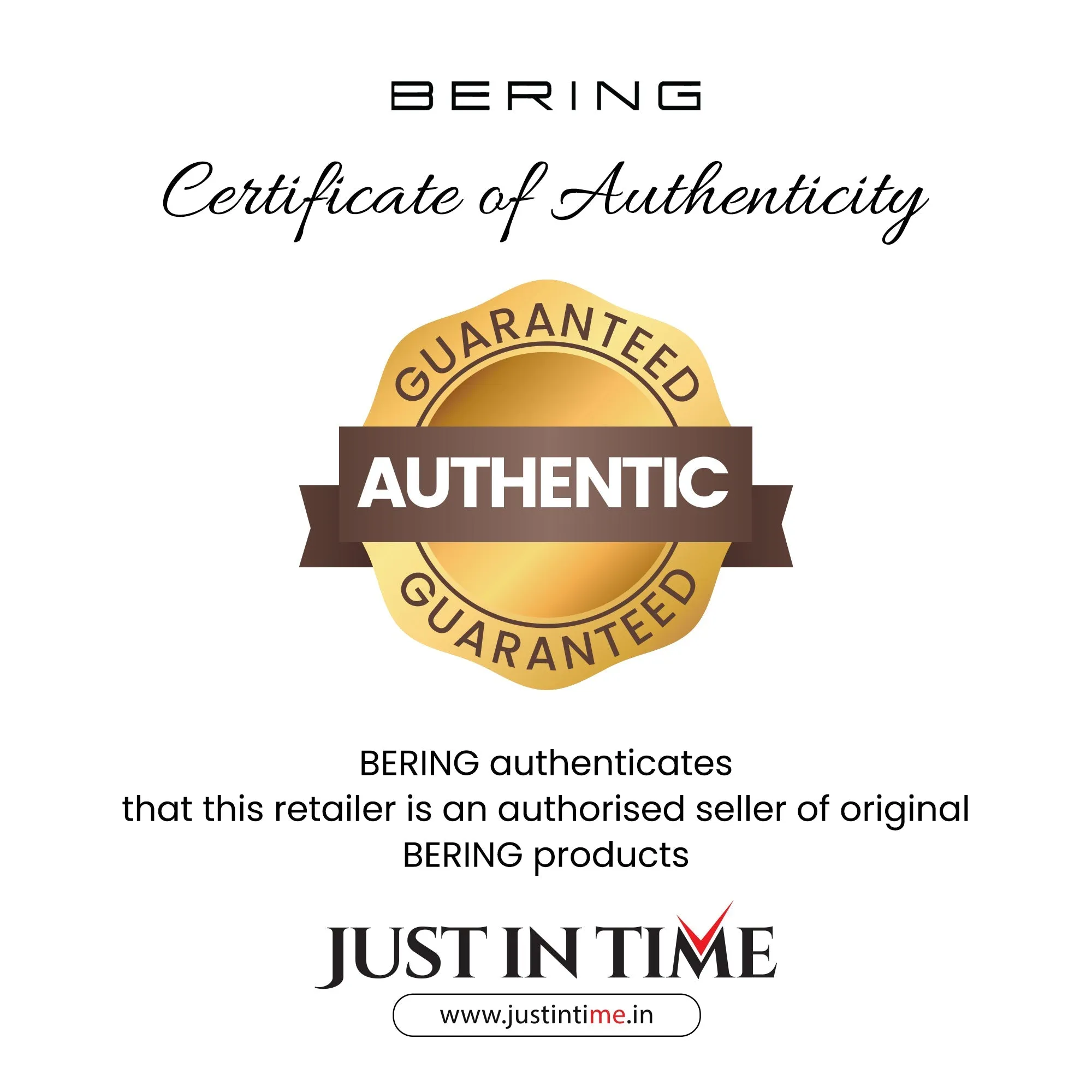 Classic Men's Analog Stainless Steel Watch 14539-868