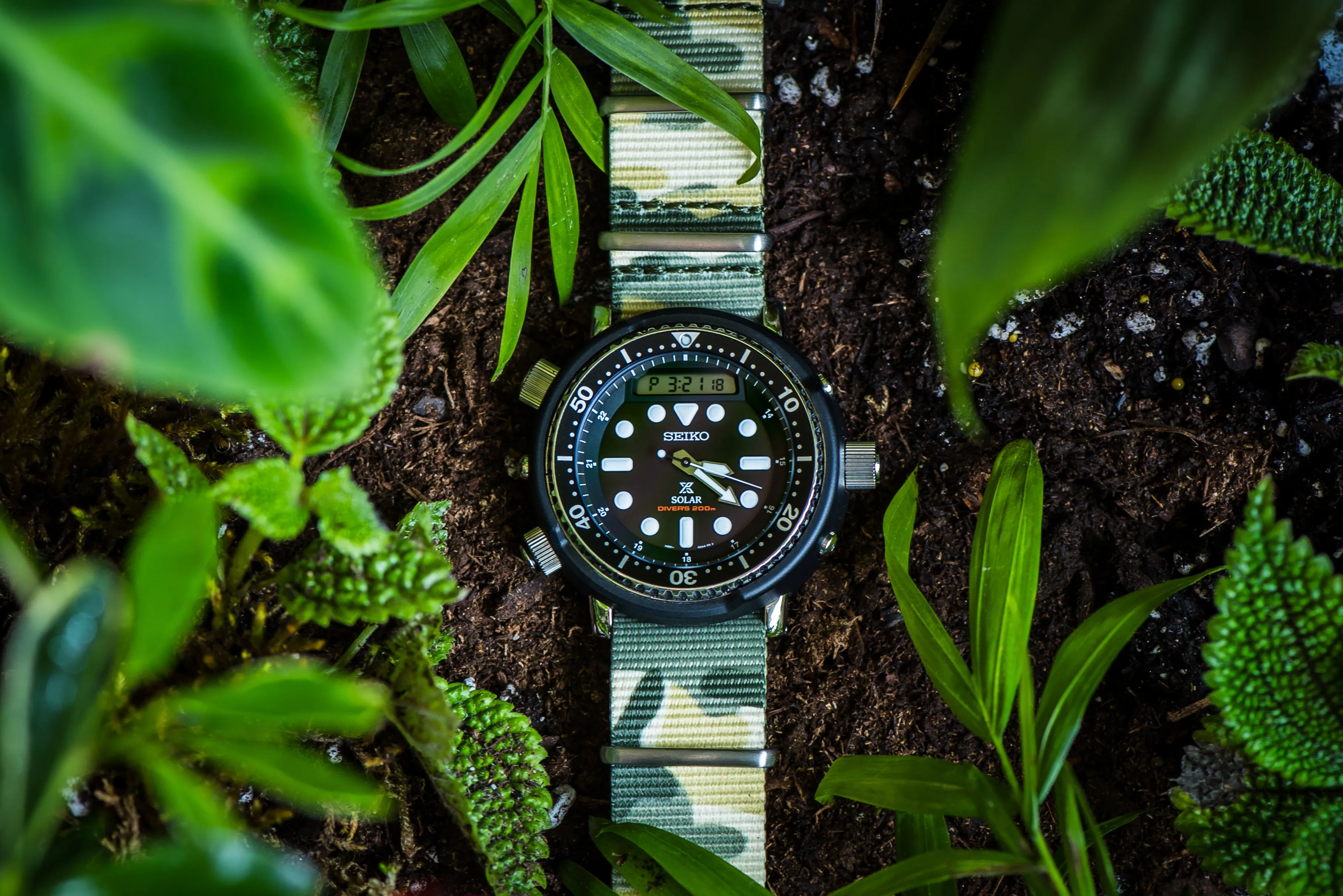 Original - Camo Grassland